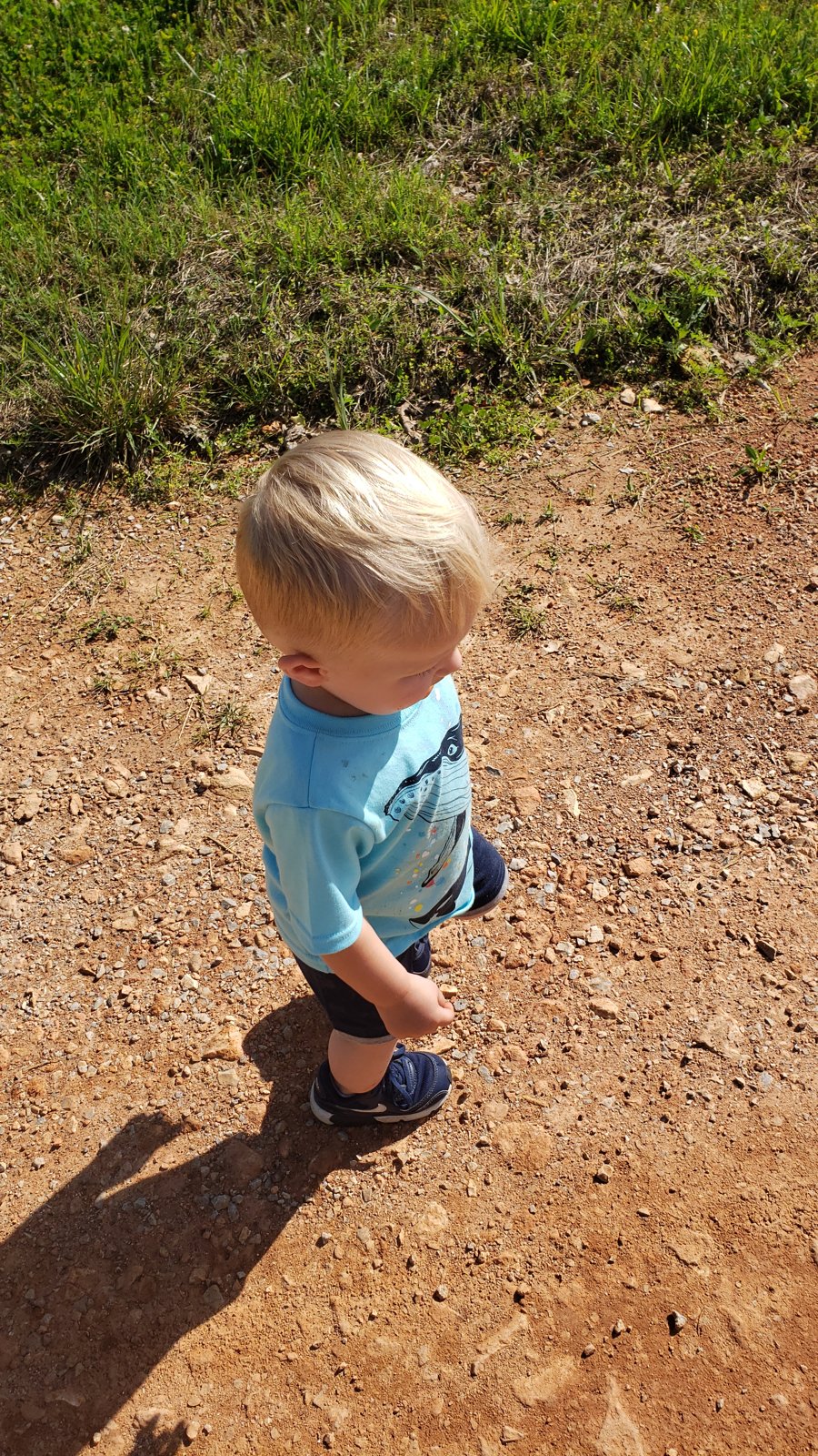 Toddler with blond hair in a light blue shirt standing on a dirt path next to grass, seen from above.