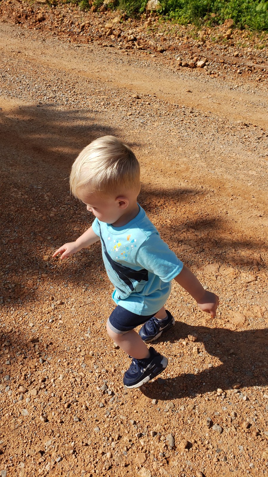 Toddler in a light blue shirt and navy shorts walking on a gravel dirt road in the sun.