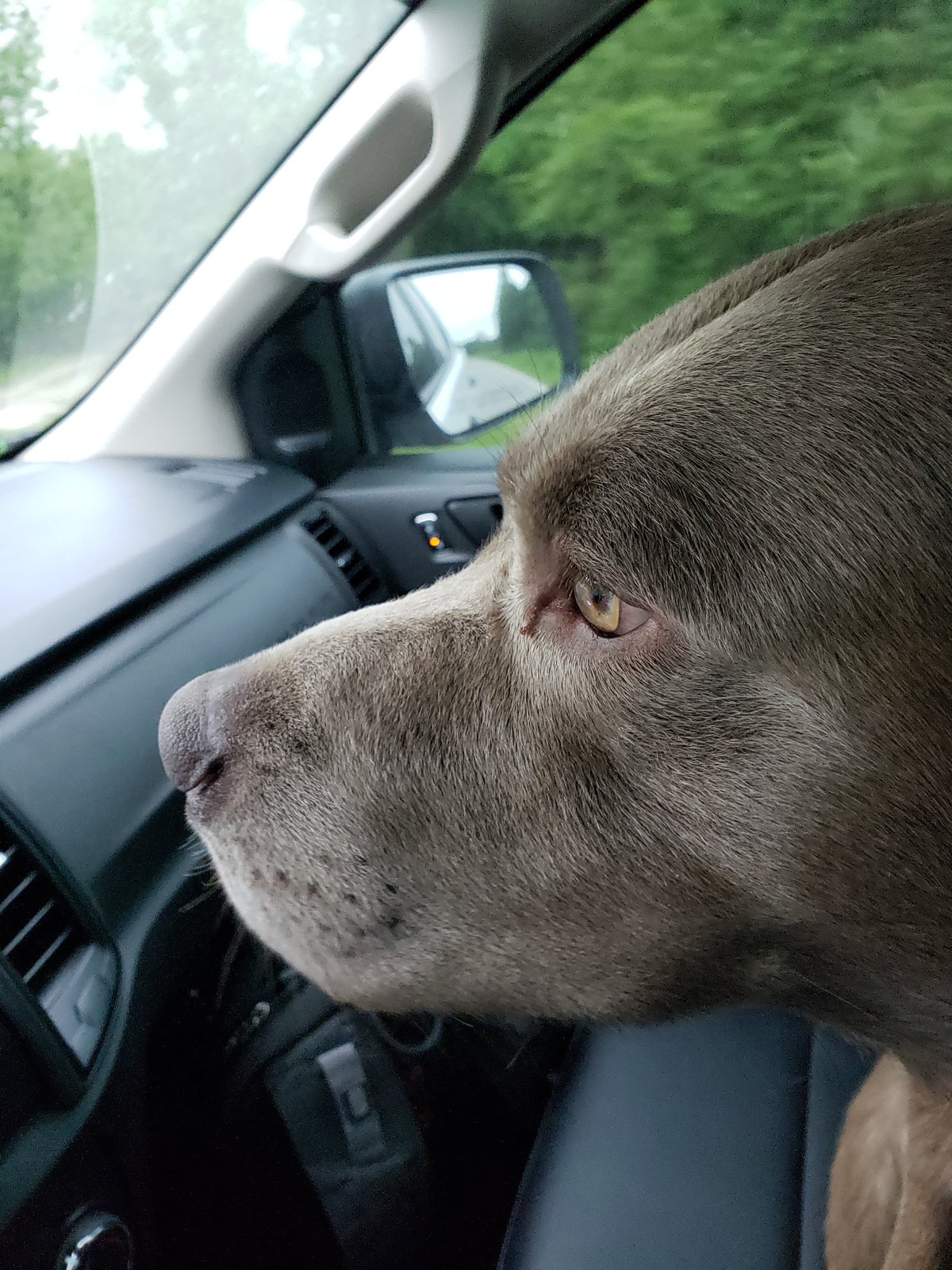 Close-up side profile of Hemi's face as he looks out a car window.