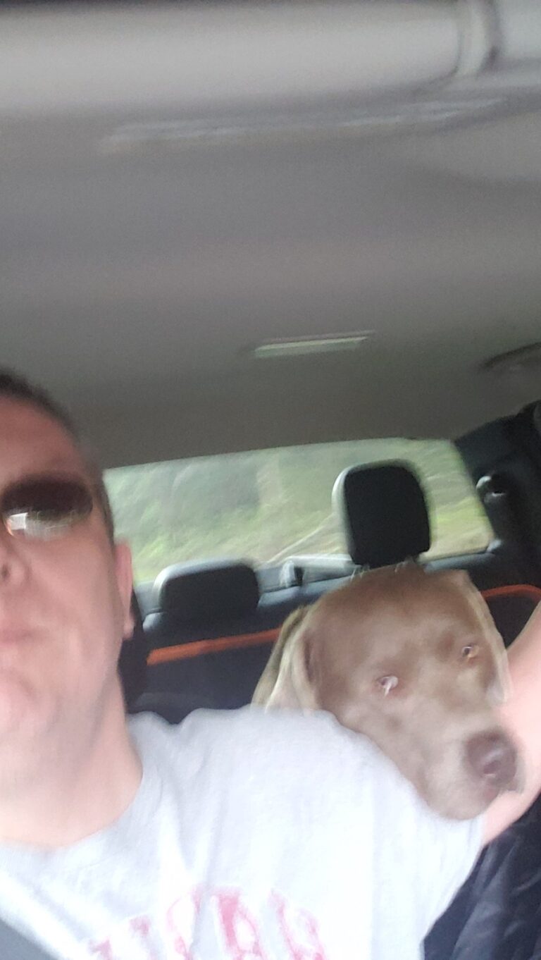 Selfie of a man in sunglasses and a white T-shirt inside a car, with a brown dog behind him.